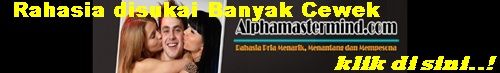 photo MasterMind500_zps3f525a75.jpg