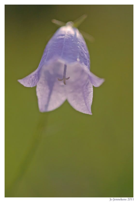 Fotografie