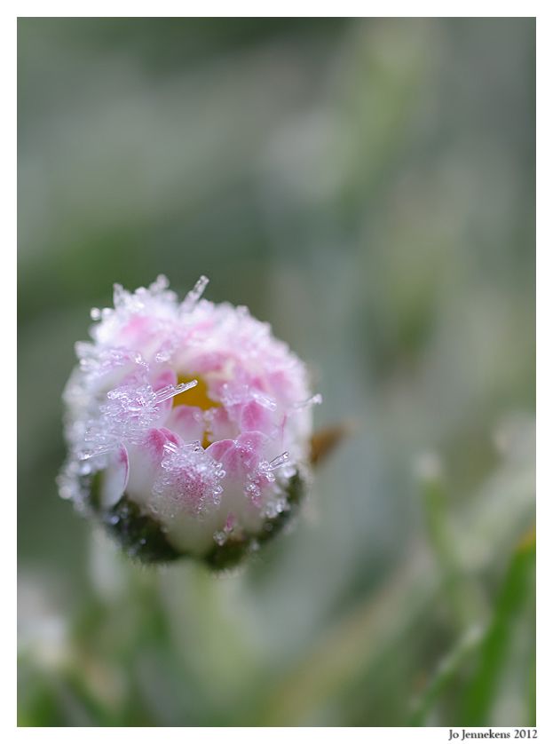 Fotografie