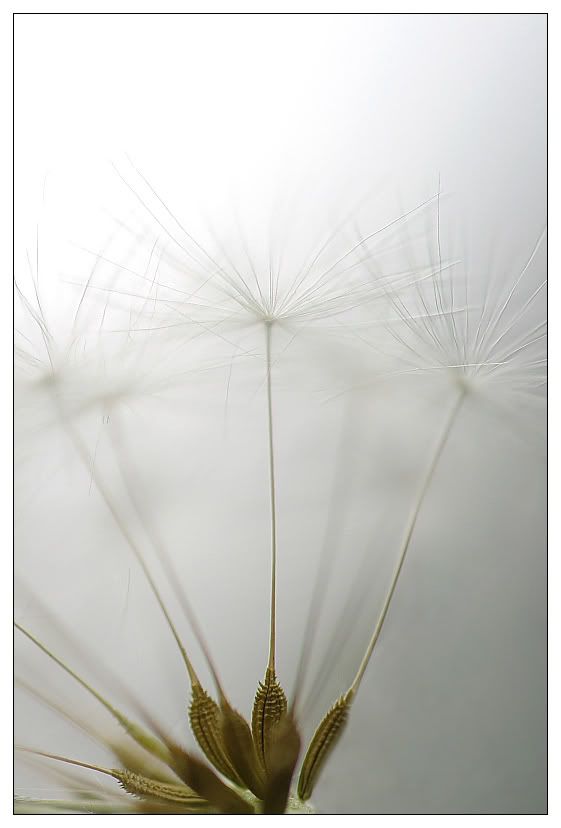 Fotografie