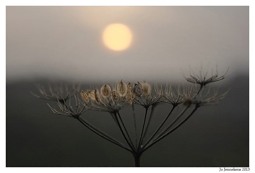 Fotografie