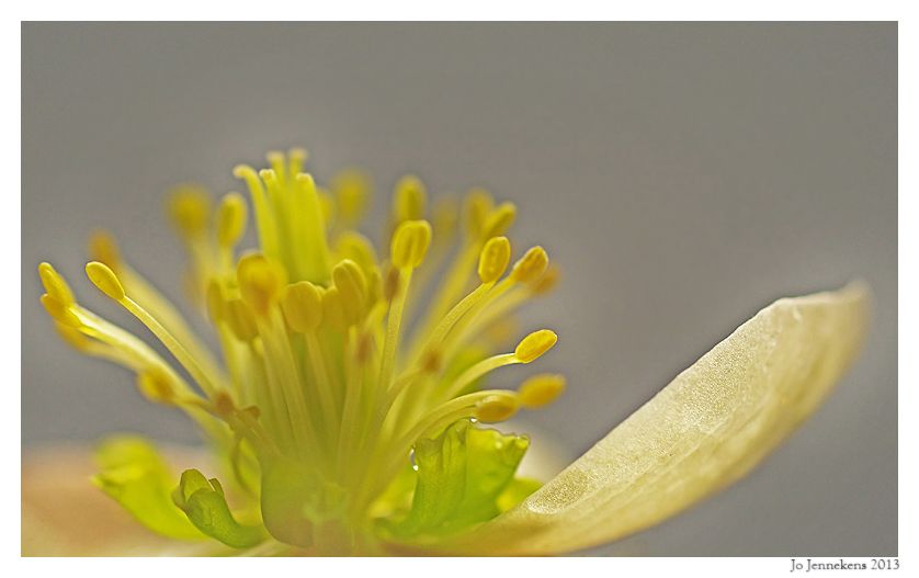 Fotografie