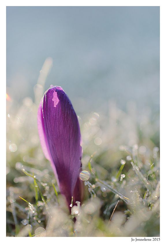 Fotografie