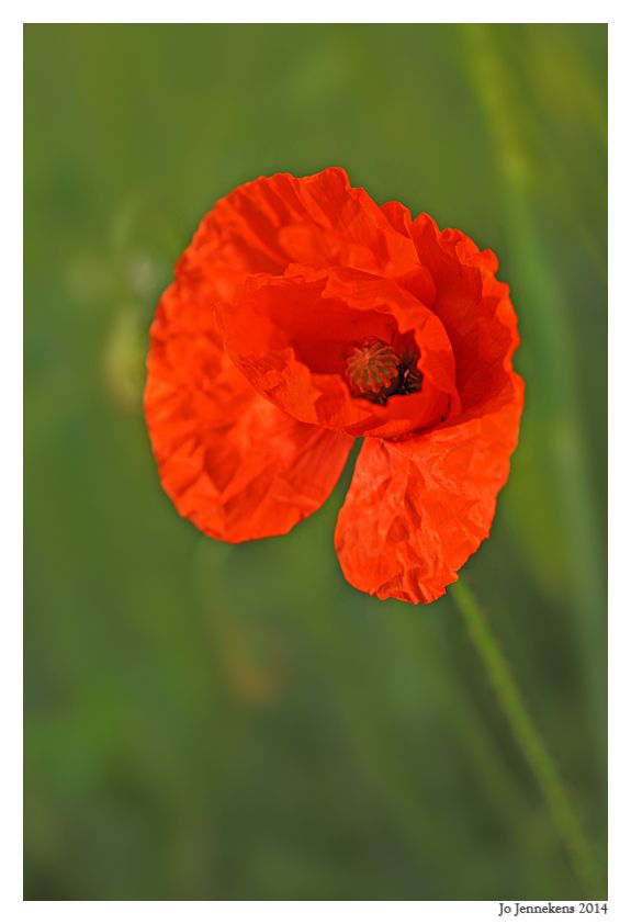 Fotografie