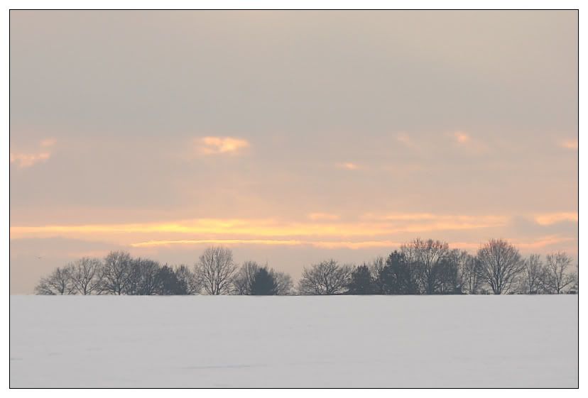 Fotografie