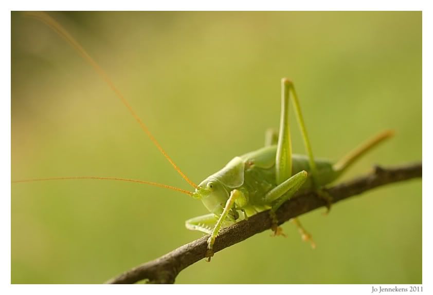 Fotografie