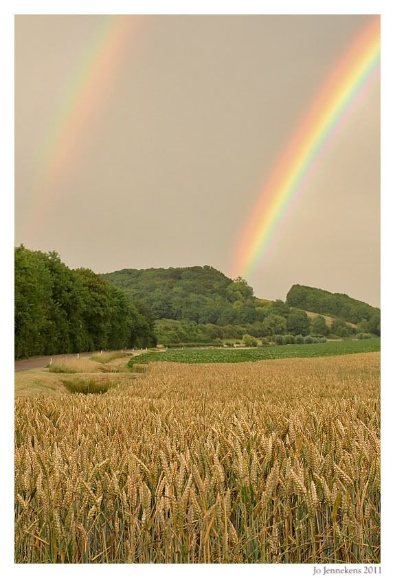 Fotografie