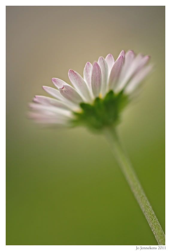 Fotografie