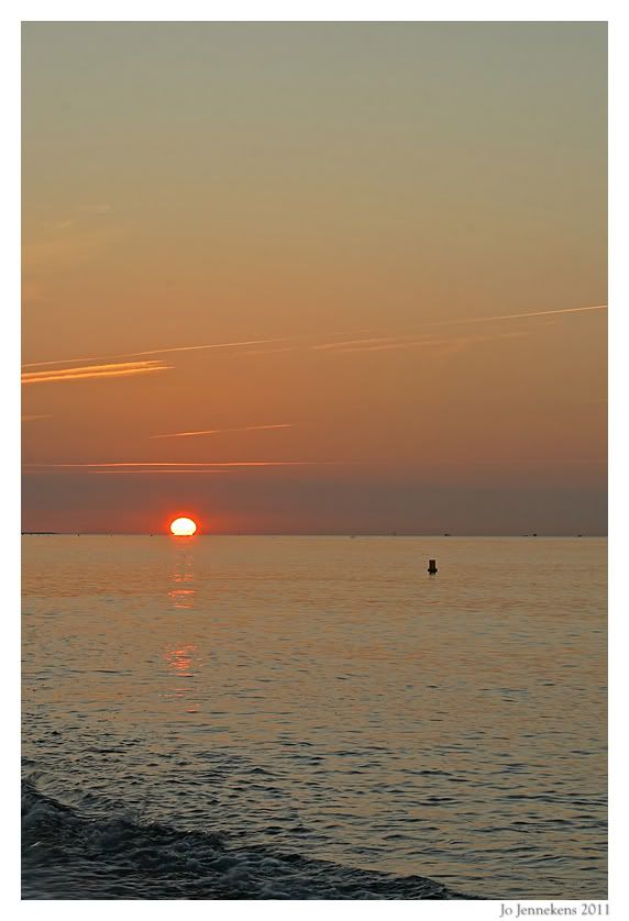 Fotografie