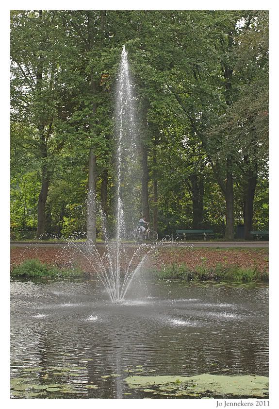 Fotografie