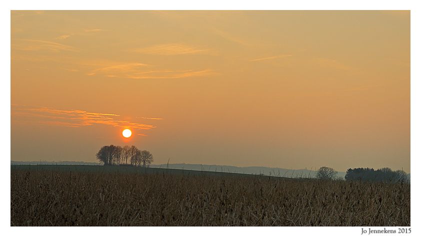 Fotografie