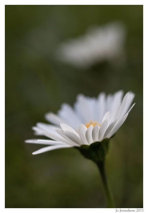 Fotografie