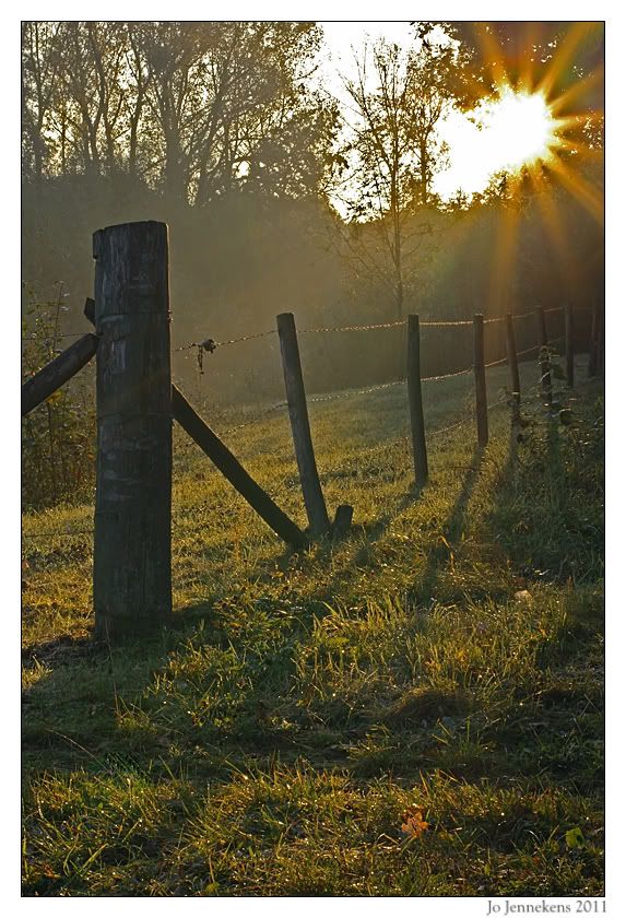 Fotografie