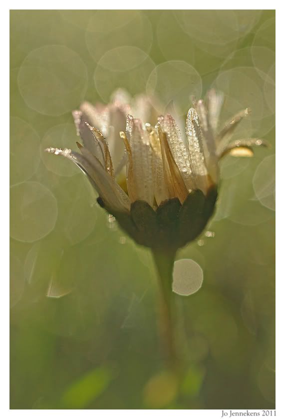 Fotografie