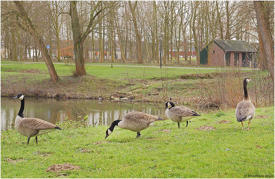 Fotografie