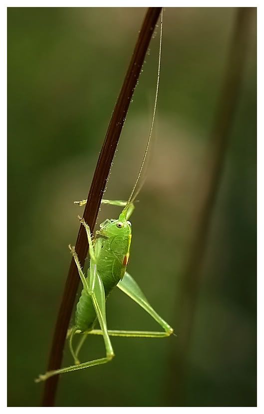 Fotografie
