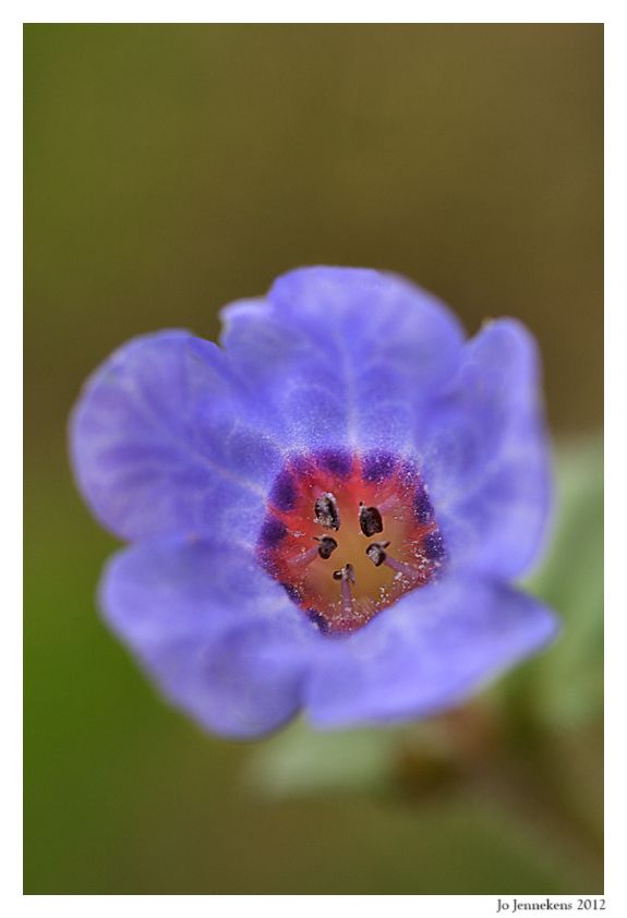 Fotografie