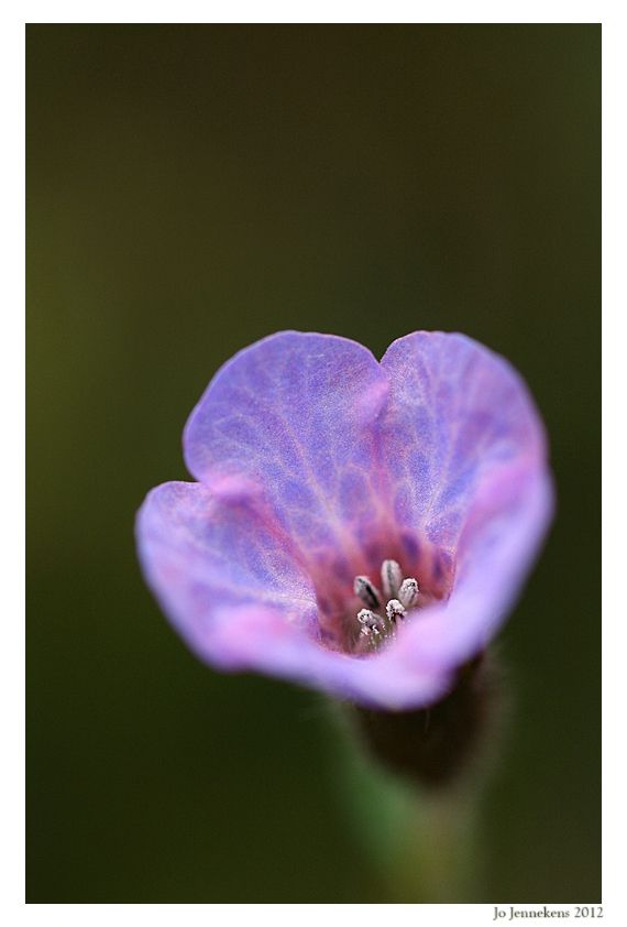 Fotografie