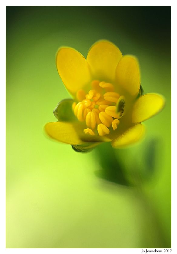 Fotografie