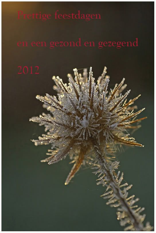 Fotografie