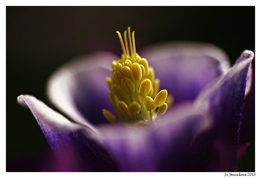 Fotografie