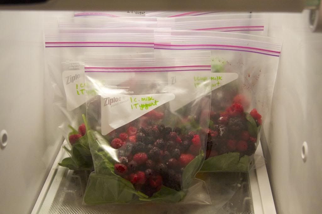 Berry Spinach Freezer Packs photo IMG_5519.jpg
