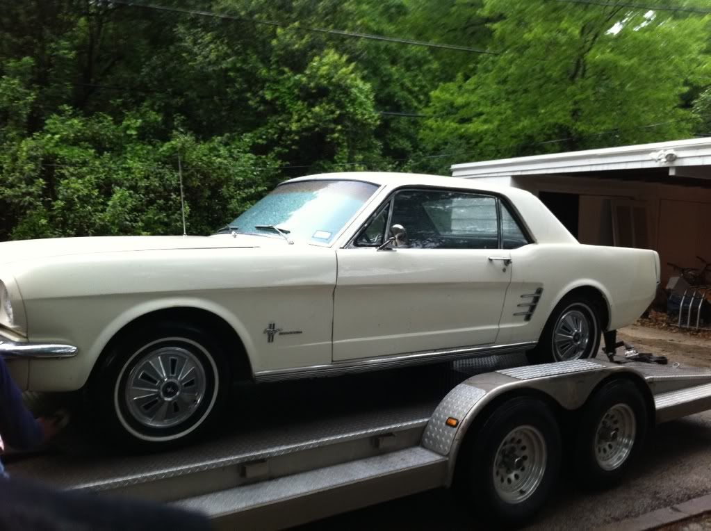 Mustang1med.jpg
