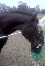 http://i1134.photobucket.com/albums/m607/duskyrose/ebiilissa.jpg