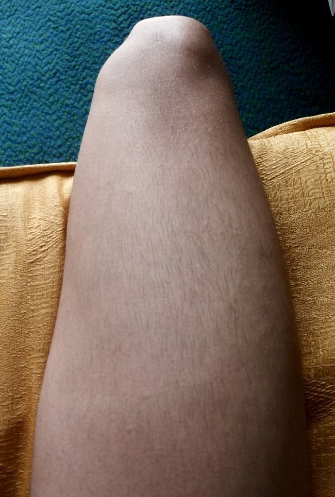 cuerpo humano cuerpo humano