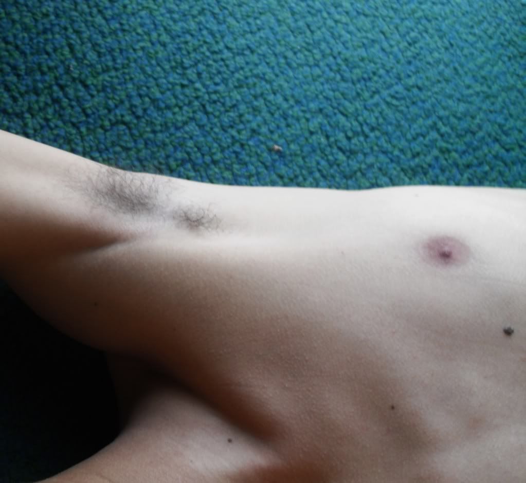 cuerpo humano cuerpo humano