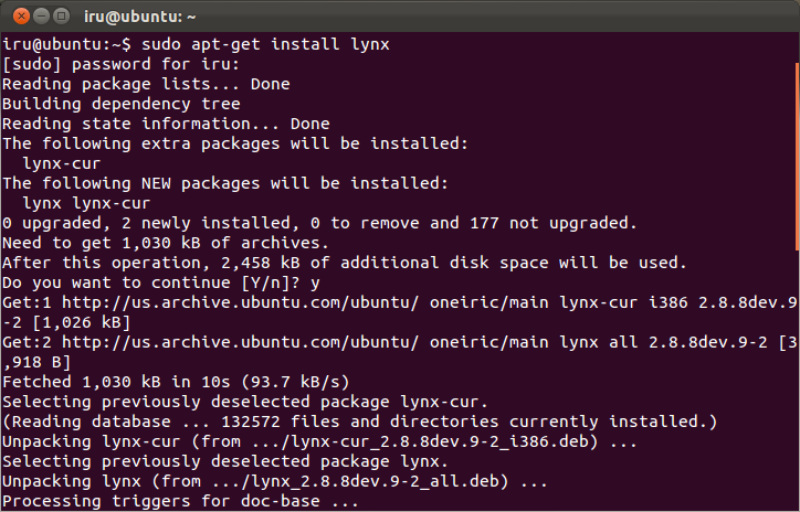 Installing Lynx in Ubuntu