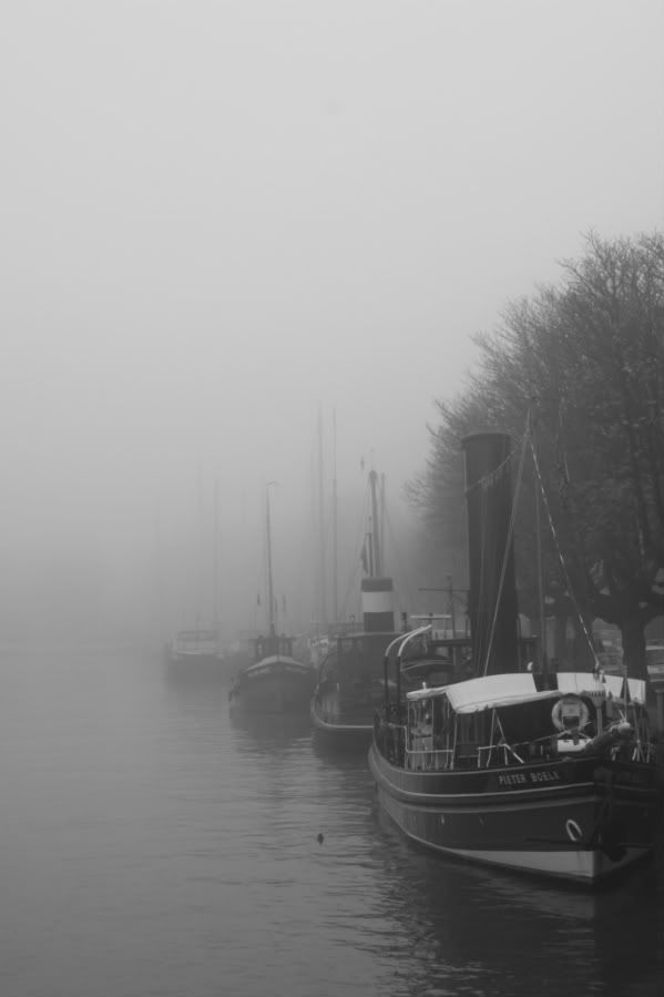 Fotografie