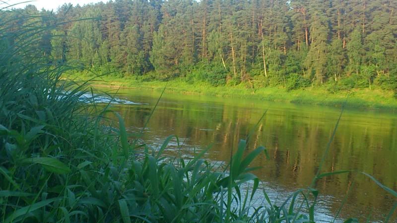 Paveikslėlis