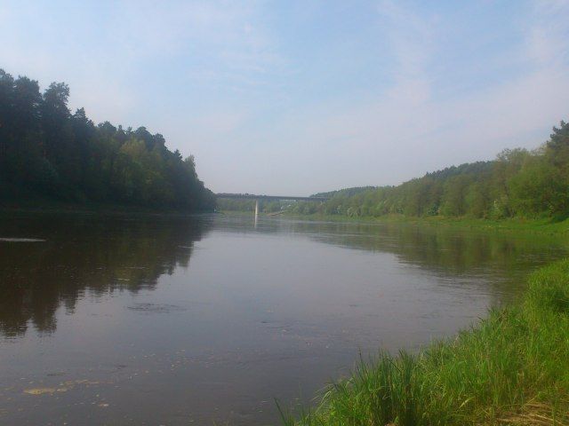 Paveikslėlis