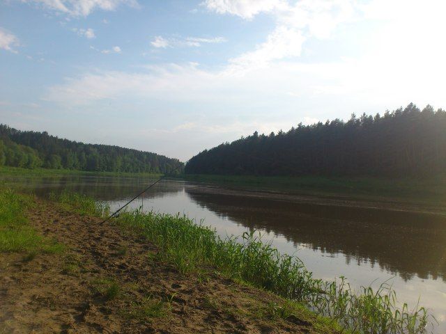 Paveikslėlis