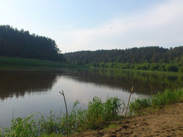 Paveikslėlis