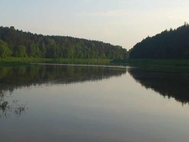 Paveikslėlis