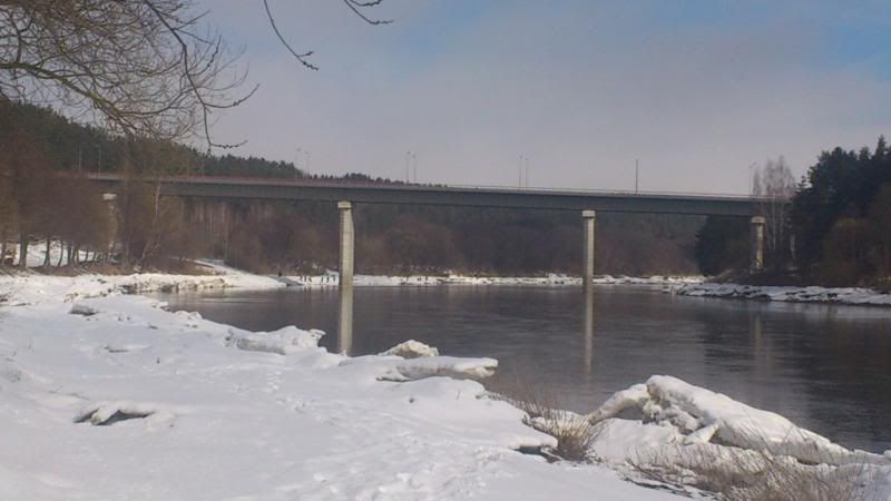 Paveikslėlis