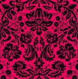  photo Angiebackground.jpg