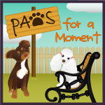  photo PawsforaMoment_button.png