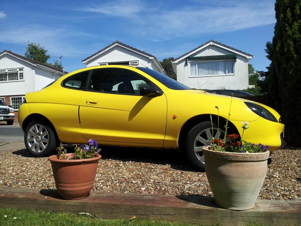 ford puma millenium