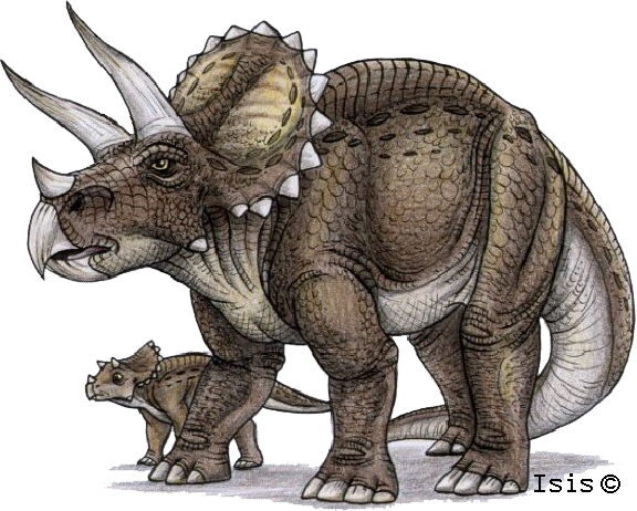 illustration by Isis Masshiro Dino%20Triceratops%2002%20B%20by%20IsisMasshiro.png