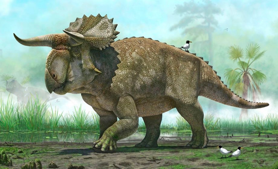 Dino%20Triceratops%2004.jpg