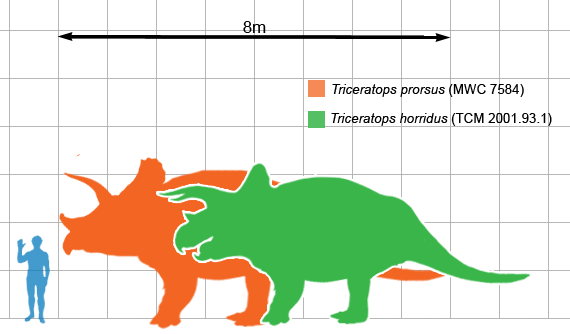 Dino%20Triceratops%2005%20scale.png
