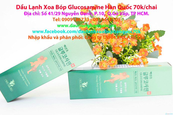 Dầu Nóng Antiphlamine + Dầu Lạnh Glucosamine Hàn Quốc. 0909186733. worldmarket.vn - 12