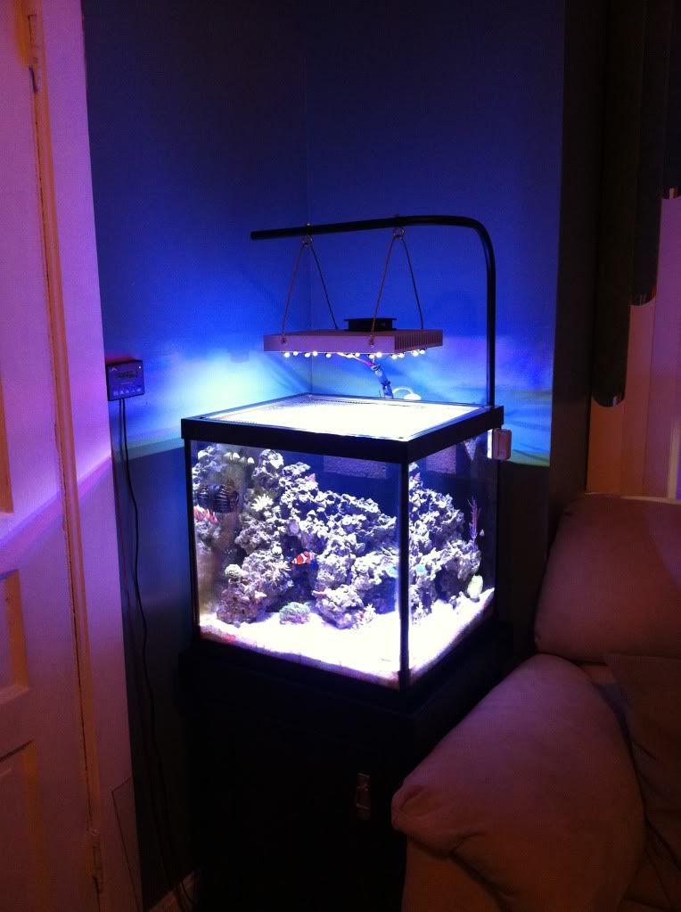 photo-1.jpg