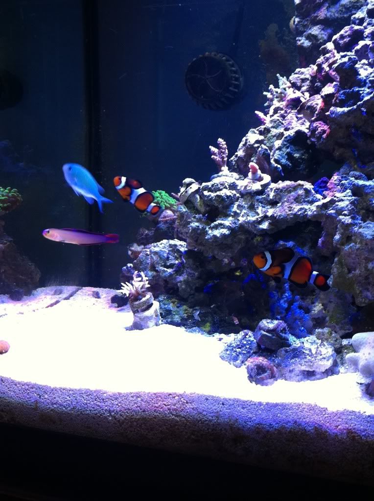 photo-2.jpg