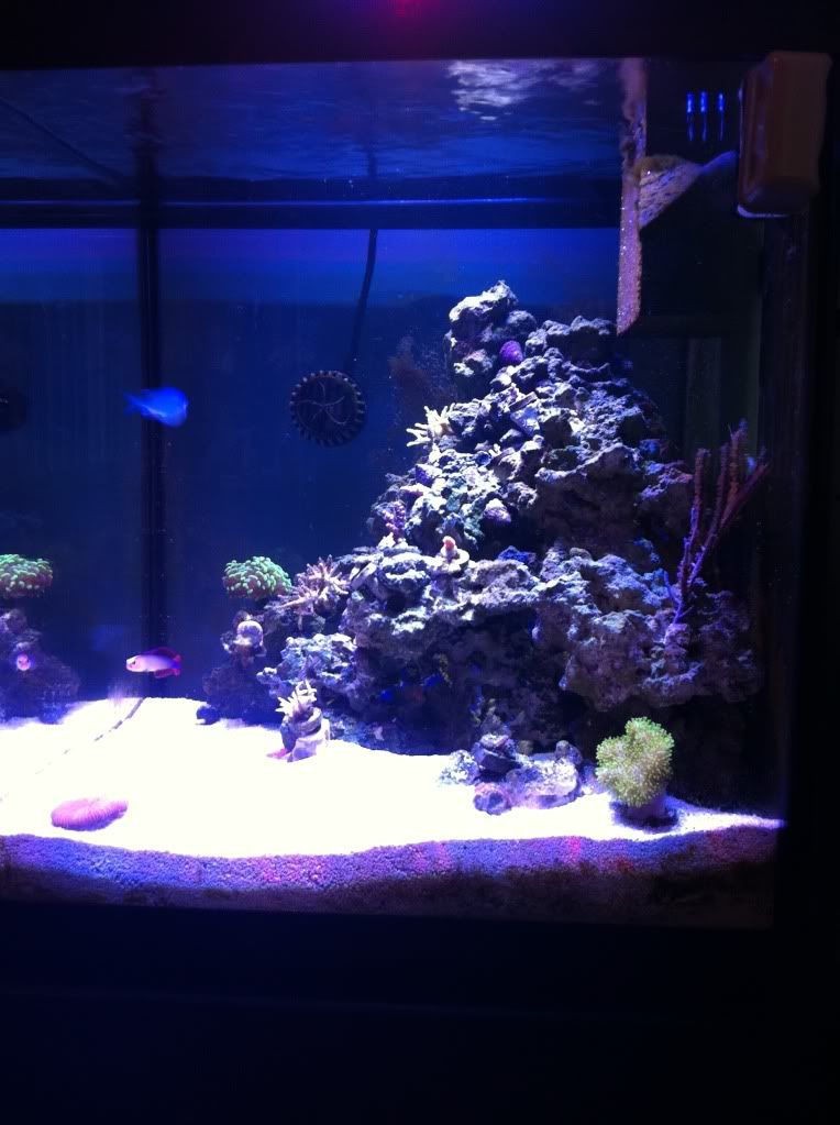 photo-6.jpg
