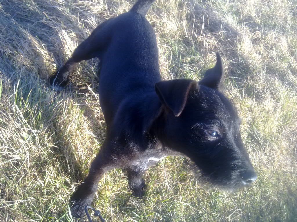 01022011159.jpg
