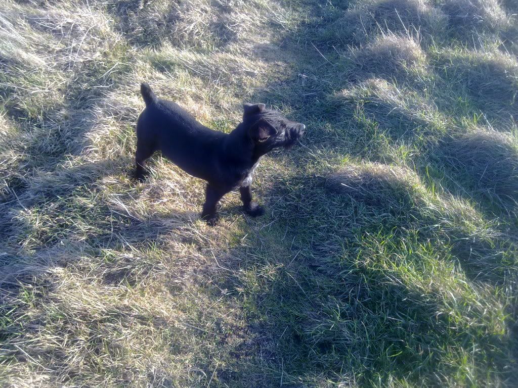 01022011164.jpg
